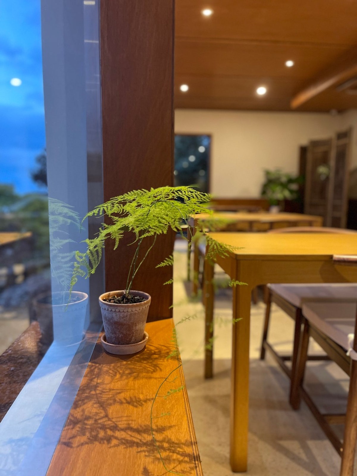 로이앤메이 사진 4