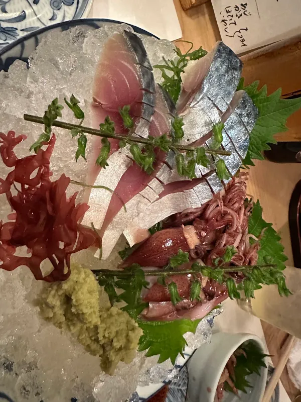 마이하마 사진 5