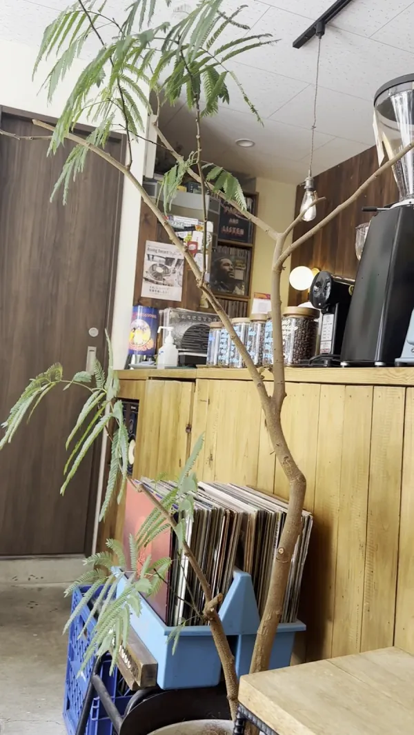 CHILL OUT COFFEE &...RECORDS 사진 2