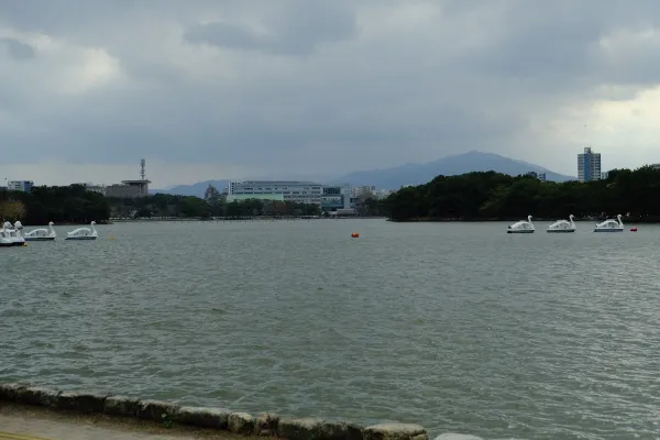 ロイヤルガーデンカフェ 大濠公園の写真5