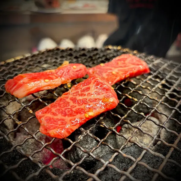 미키 사진 4