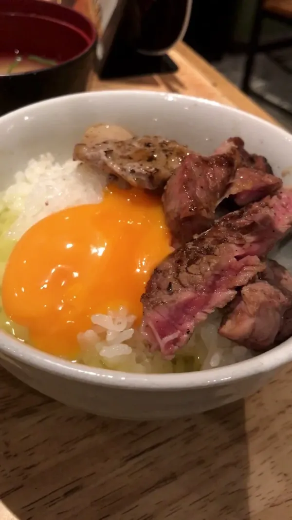 코우시 사진 2