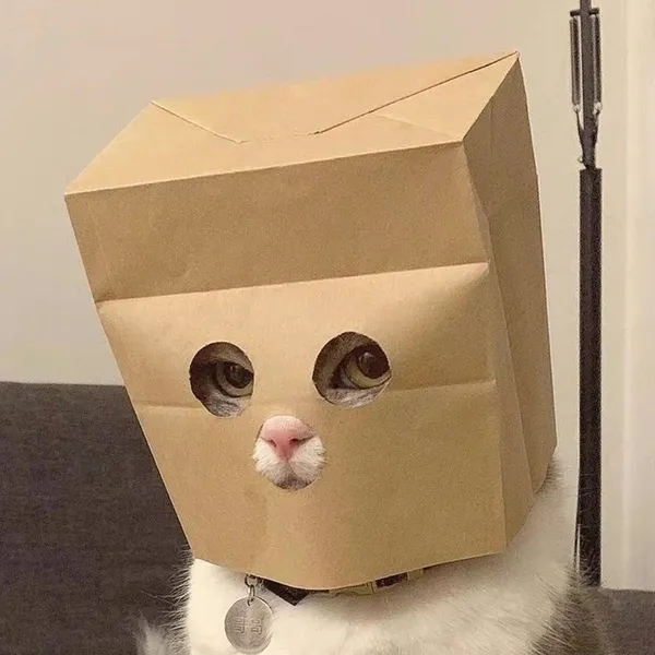 기마이 사진 5