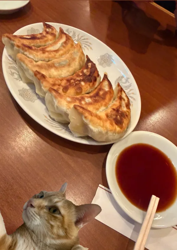 味丸の写真4