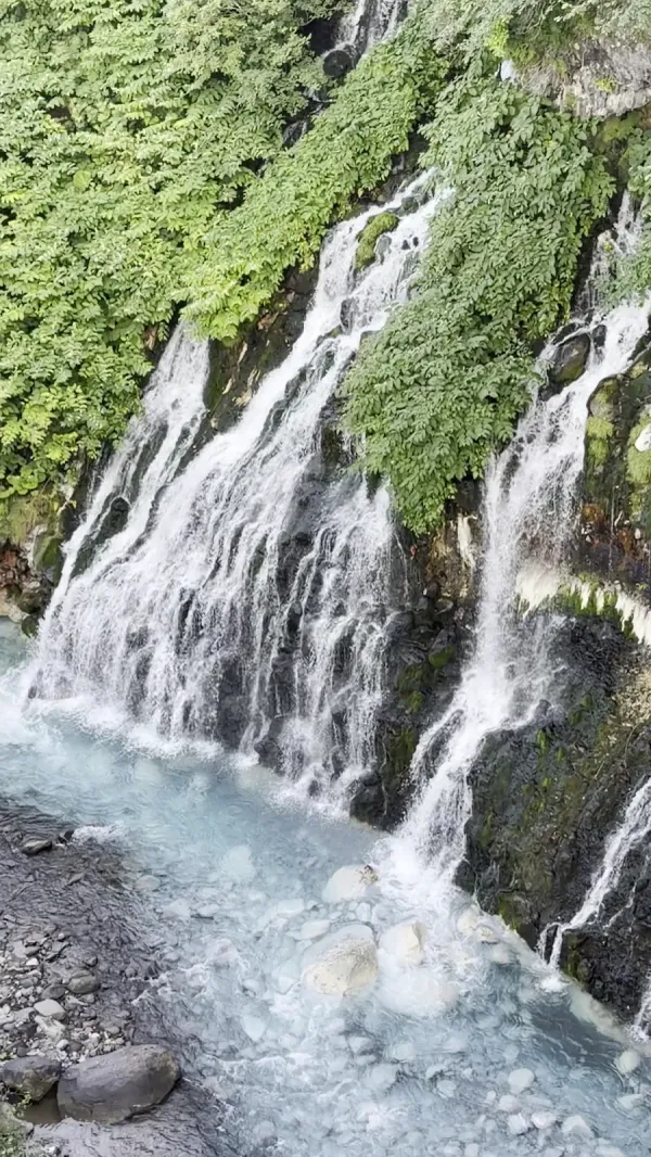 白ひげの滝の写真5