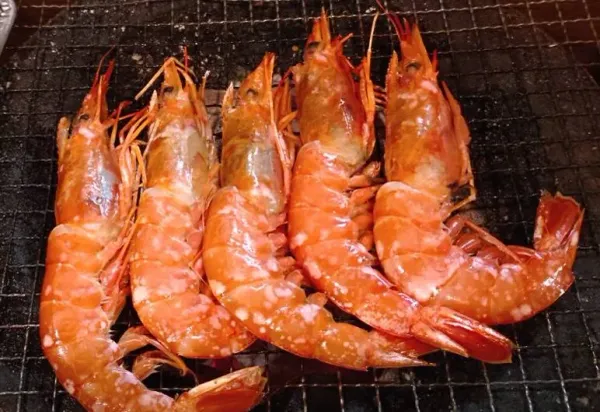 히이찬 사진 4