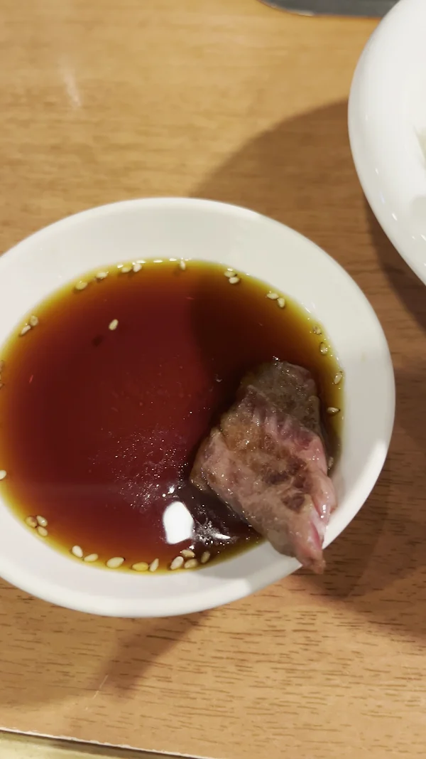 토토리 사진 2
