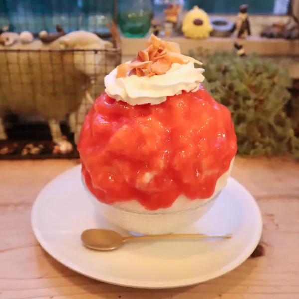 cocoo cafe 사진 5