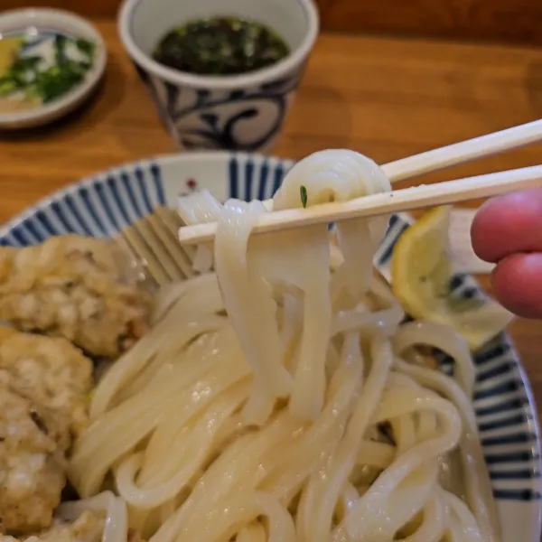 Handmade noodles Fugetsu 사진 2