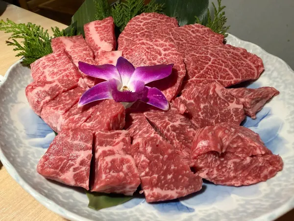 Gyuichi Dotombori 사진 4
