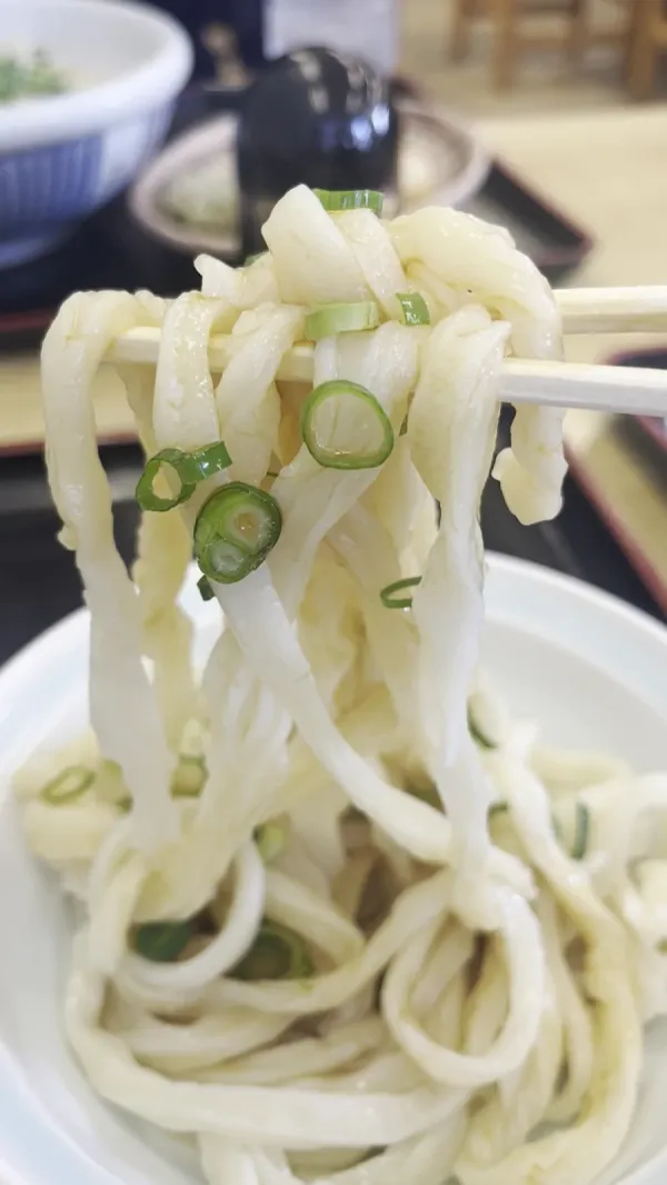 Handmade Miyatake Udon 사진 2