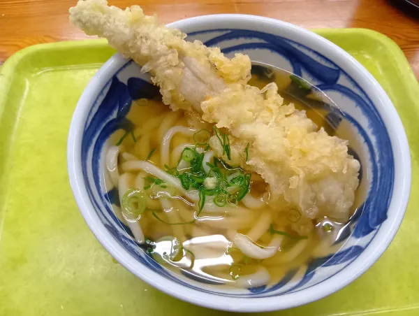 Sakaeda 사진 4