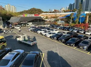 Chuncheon Myeongmul Dakgalbi