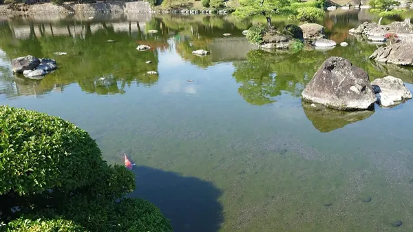 스이젠지 조주엔 사진 3