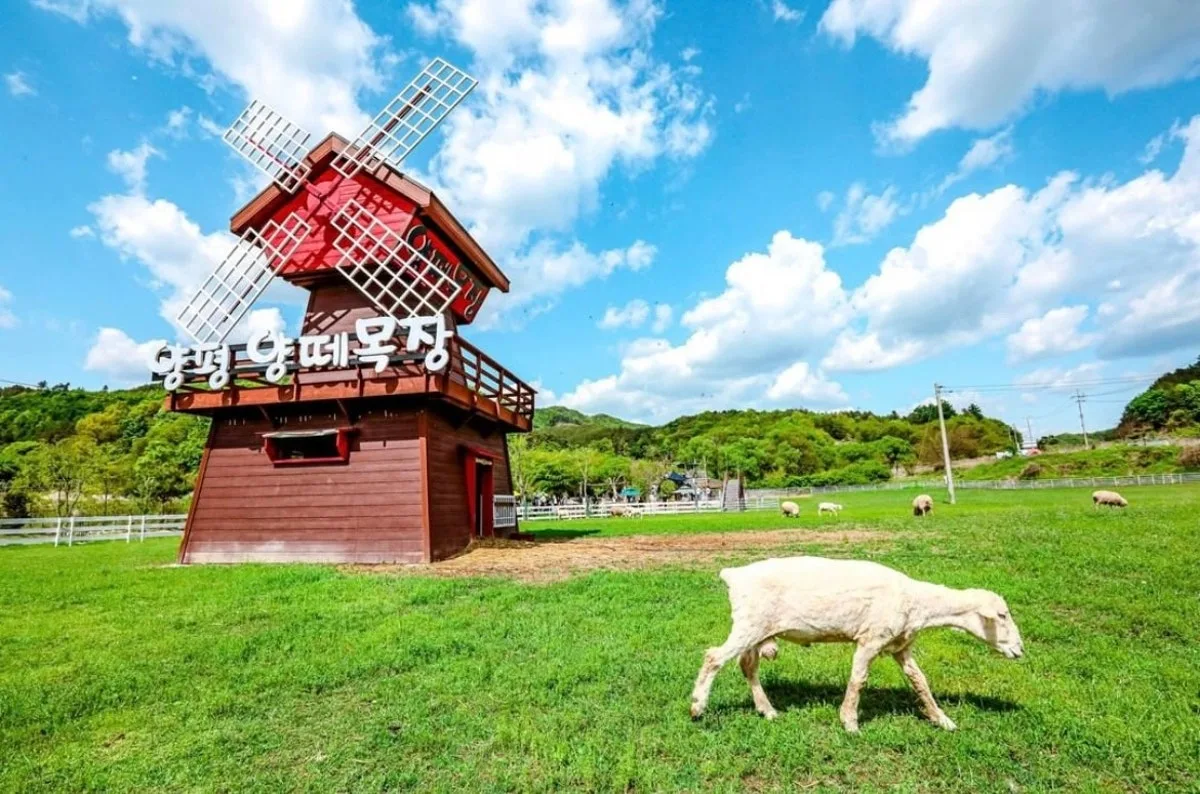 ヤンピョンヤンテモクチャンのメイン写真