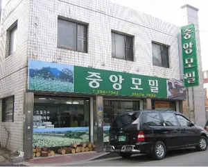중앙모밀