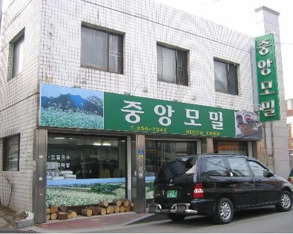 중앙모밀