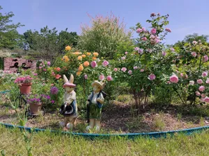 Soso Garden
