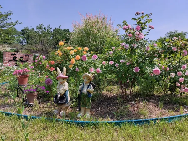 소소정원