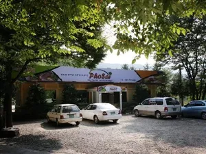 Posai