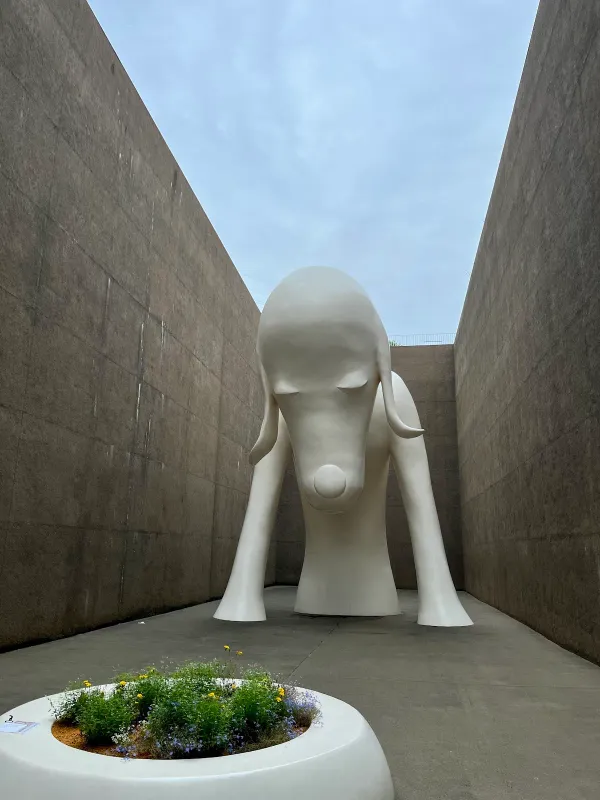 Aomori Museum of Art 사진 4