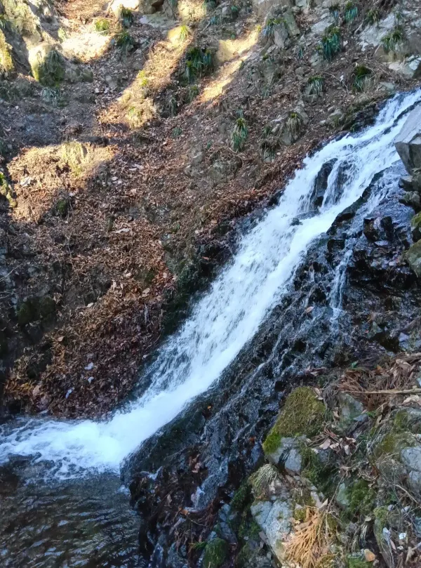 白糸の滝の写真4