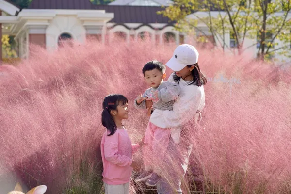 가평베고니아새정원