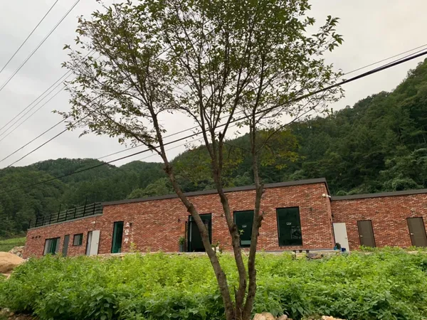 소담정
