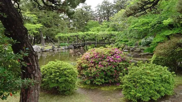 하쿠산 공원 사진 3