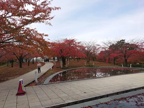 하쿠산 공원 사진 5