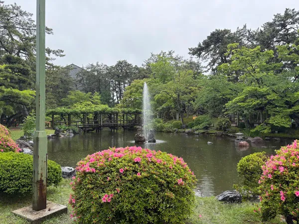 白山公園の写真5