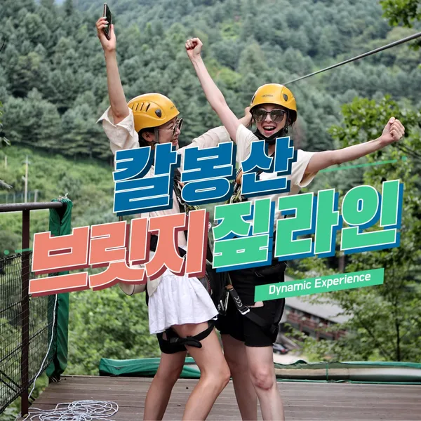 브릿지짚라인