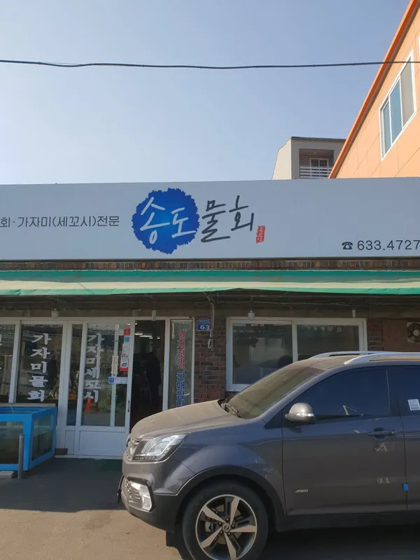 송도물회