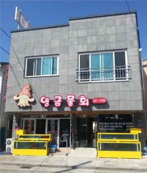 영금물회