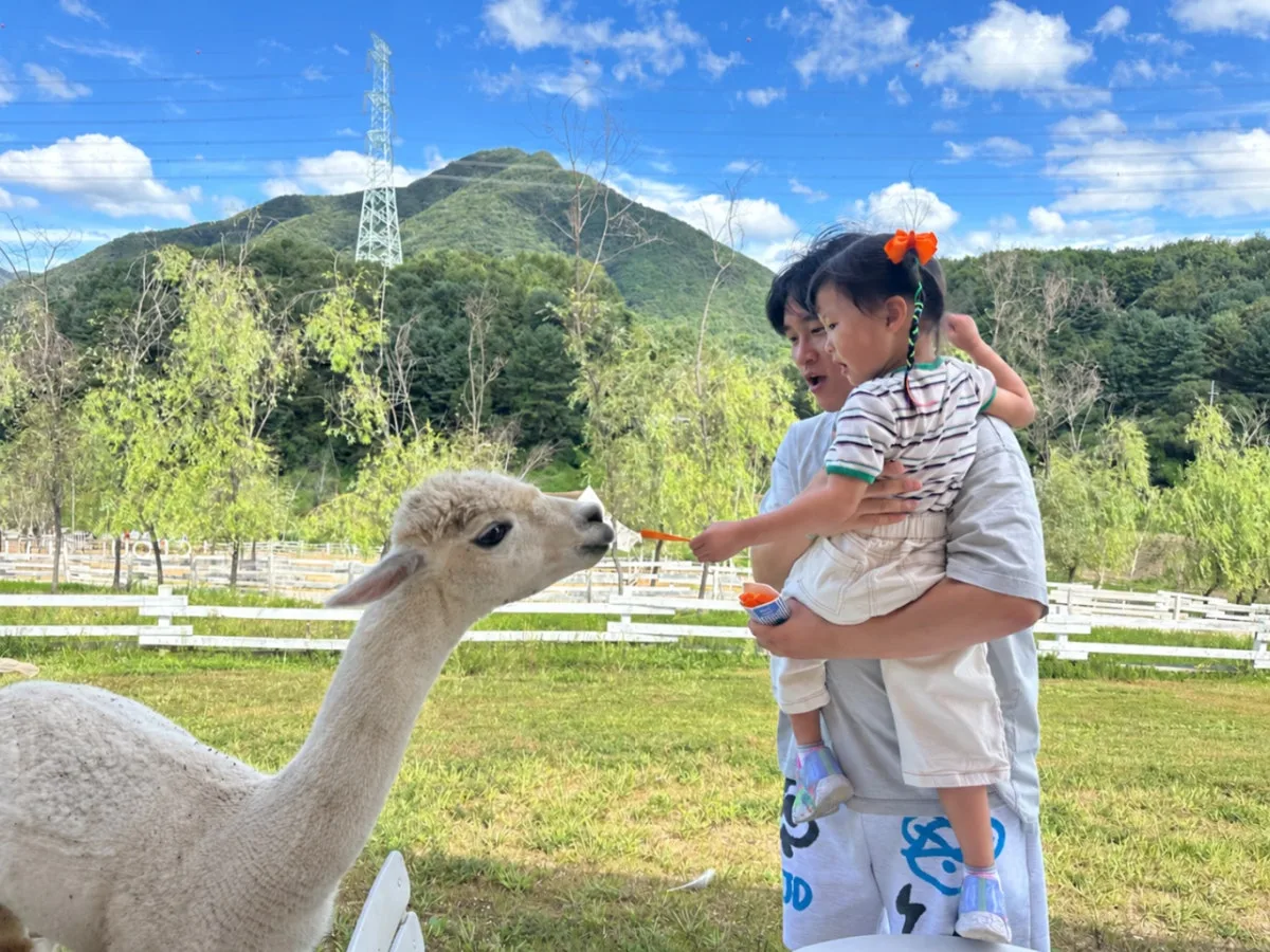 カピョンヤンテモクチャンのメイン写真