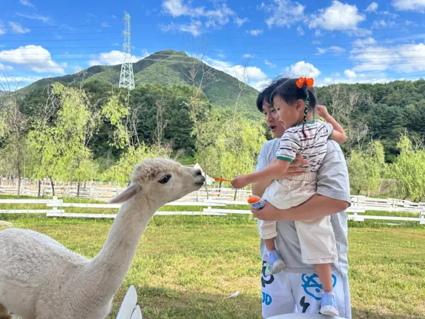 가평양떼목장