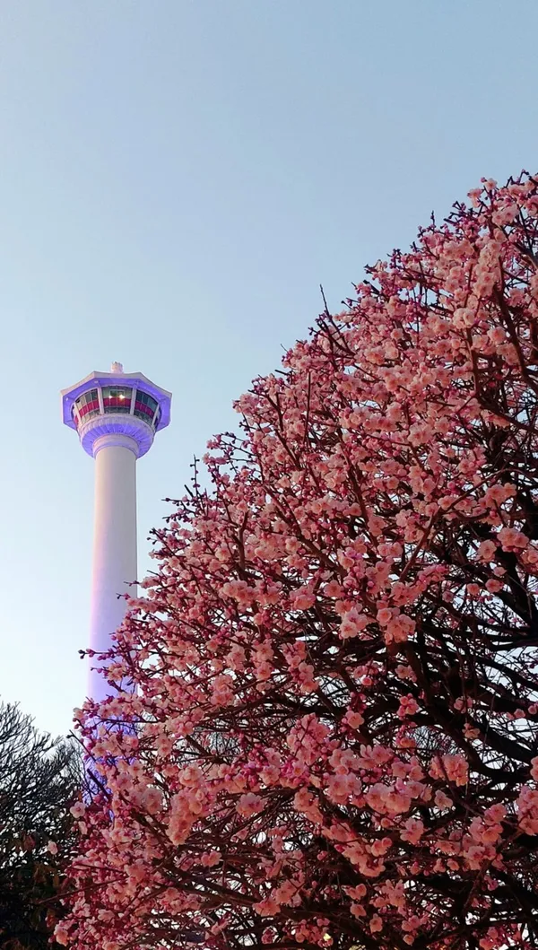 우리돼지국밥 사진 4