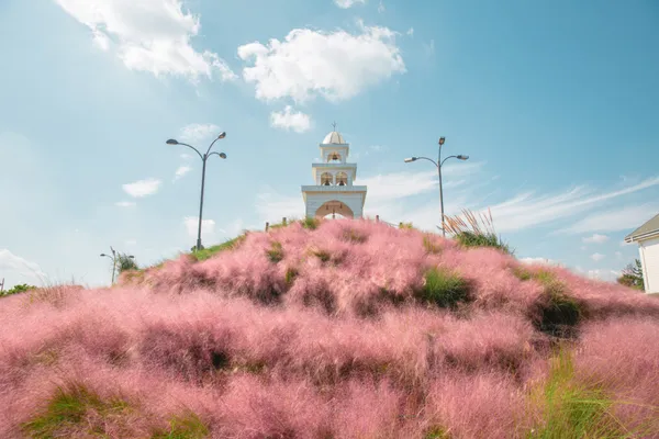 제주허브동산