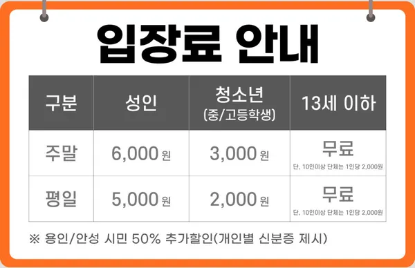 용인자작나무숲 사진 5