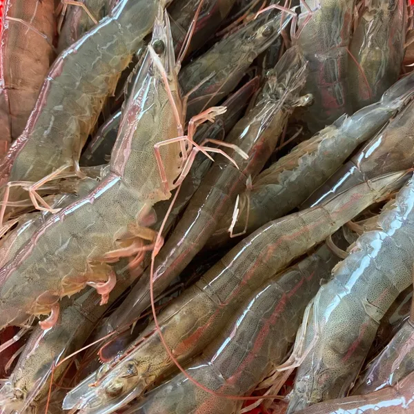 대부수산 사진 3