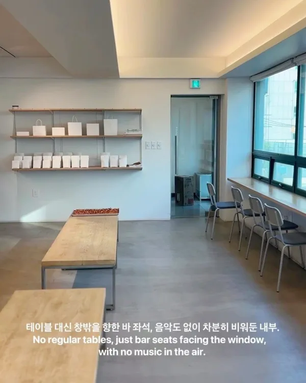 자하 사진 5