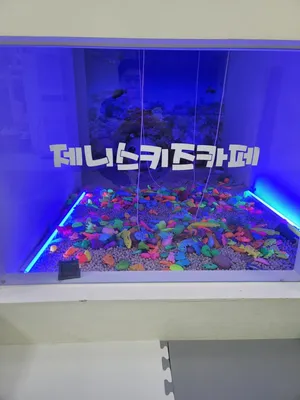 제니스키즈카페 이천점