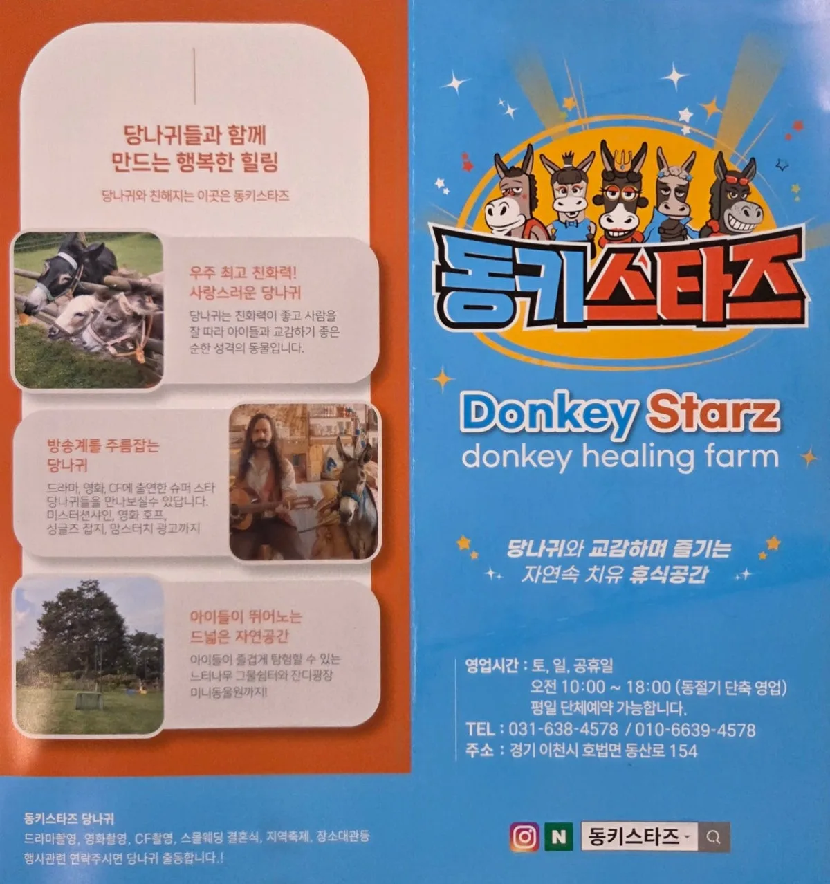 동키스타즈