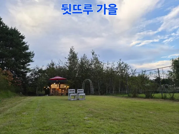 뒷뜨루 사진 4