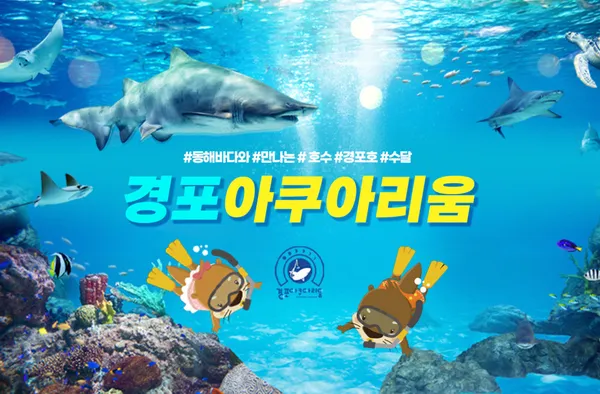 경포아쿠아리움