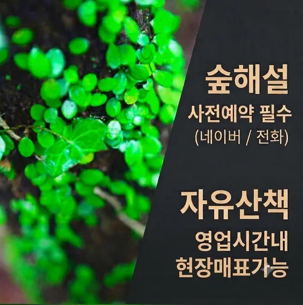 환상숲곶자왈공원