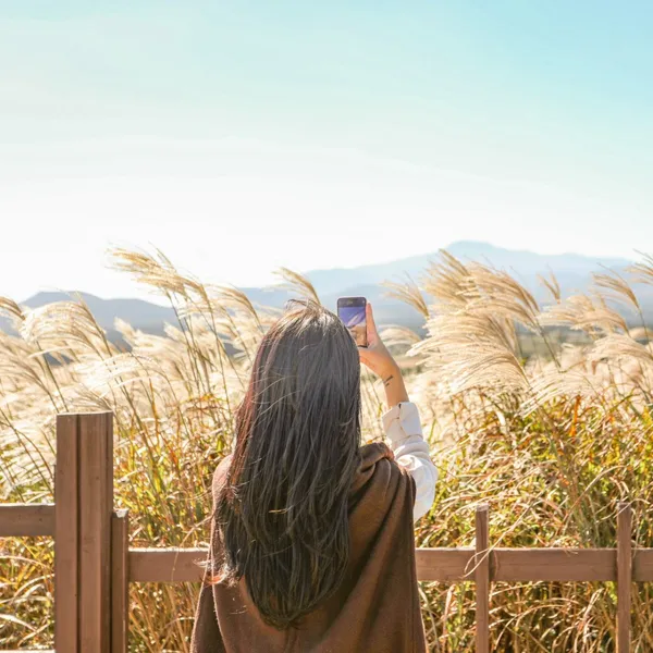 제주시 가볼 만한 곳 56곳