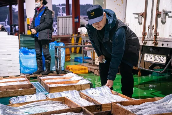 제주갈치 충민정