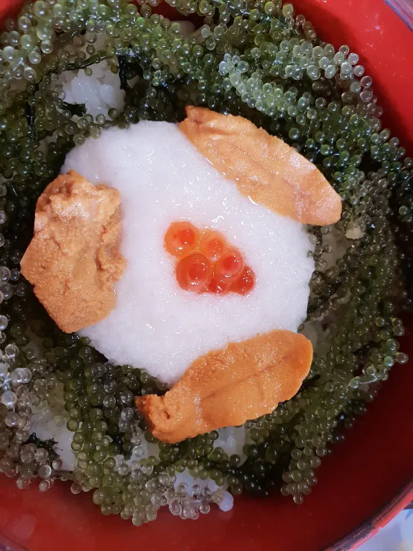元祖海ぶどう 万座毛店の写真2