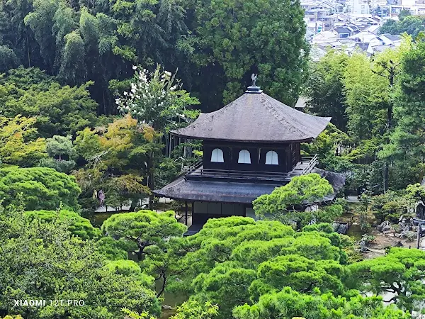 지쇼지 사진 4